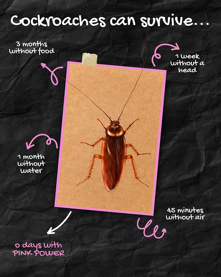 Pest Control creative ad: Taped roach photo with chalk survival annotations