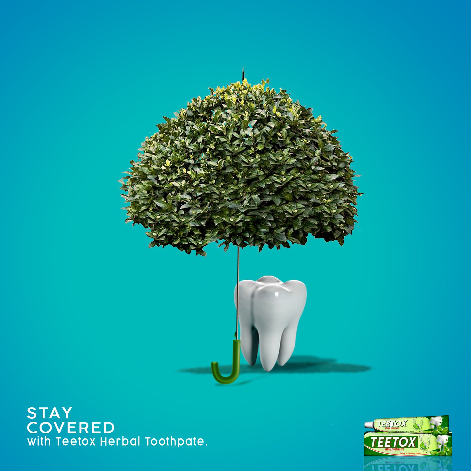 Instagram post: Tooth becomes a tree protected by umbrella