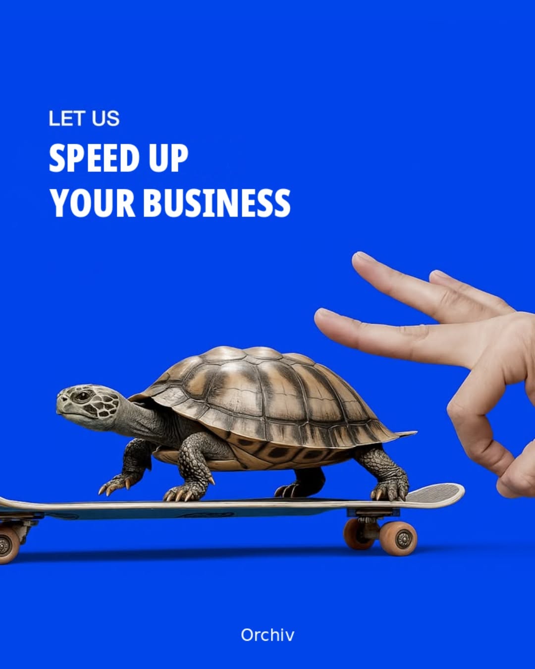 Tortoise on skateboard as speed metaphor