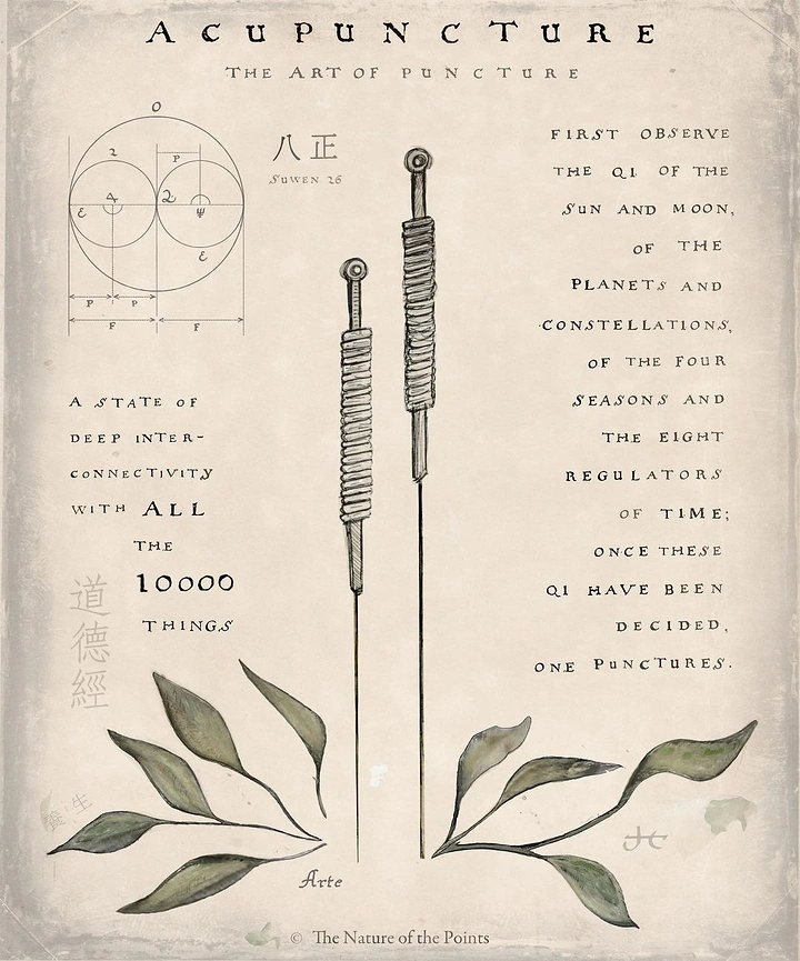 Acupuncture & Cupping Clinics creative ad: Vintage scientific acupuncture poster composition