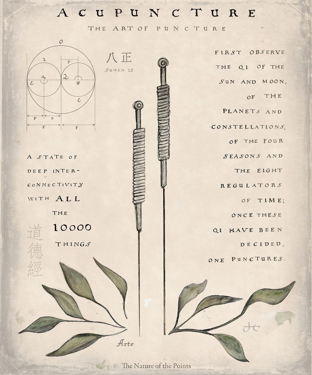 Instagram post: Vintage scientific acupuncture poster composition, slide 1