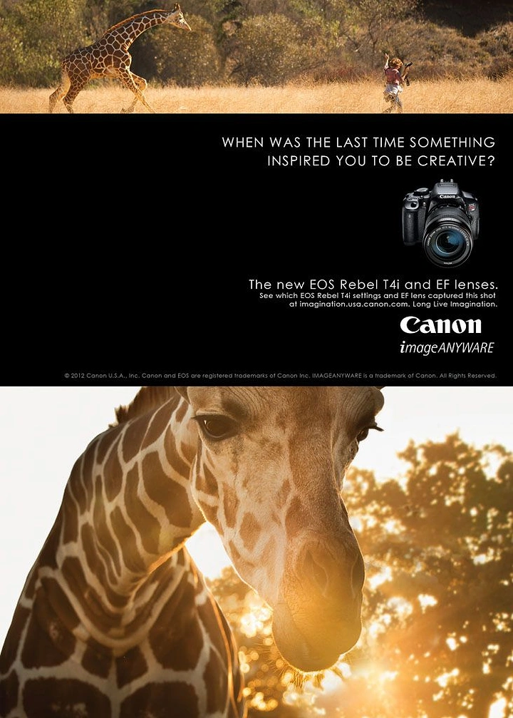 Cameras & Camera Stores creative ad: Wildlife imagery ties inspiration to camera