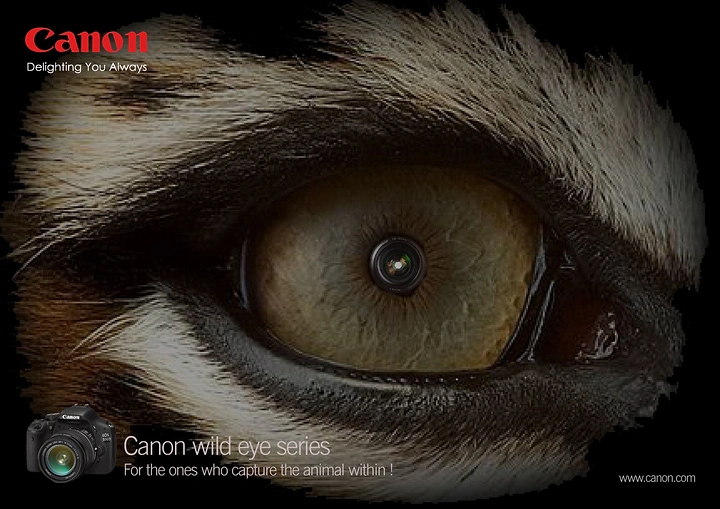 Cameras & Camera Stores creative ad: Eye and lens create a memorable vision metaphor