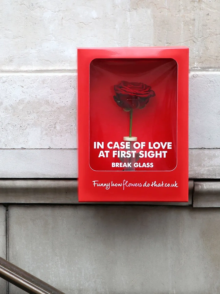 Valentine's Day creative ad: Single red rose inside a red emergency break-glass box mounted on a wall