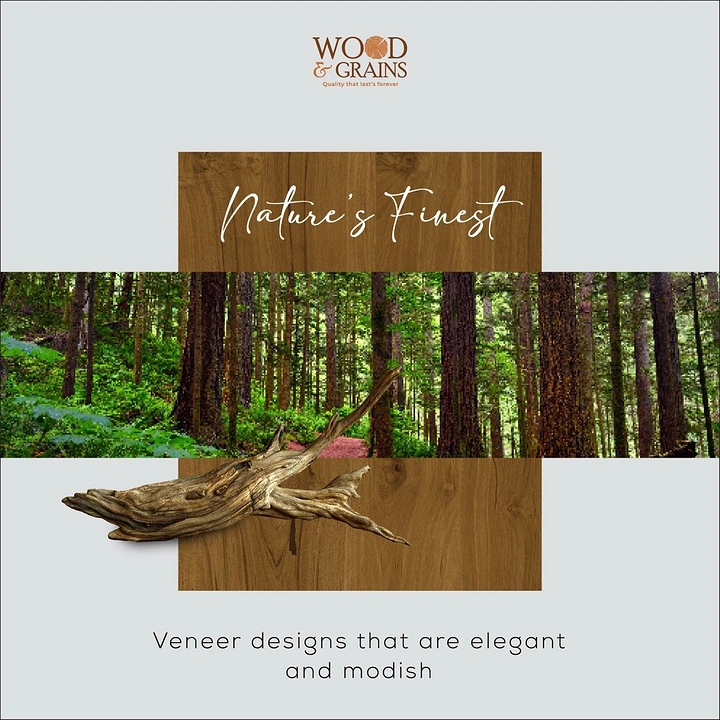 Carpenters & Woodwork creative ad: Veneer panel sliced to reveal forest