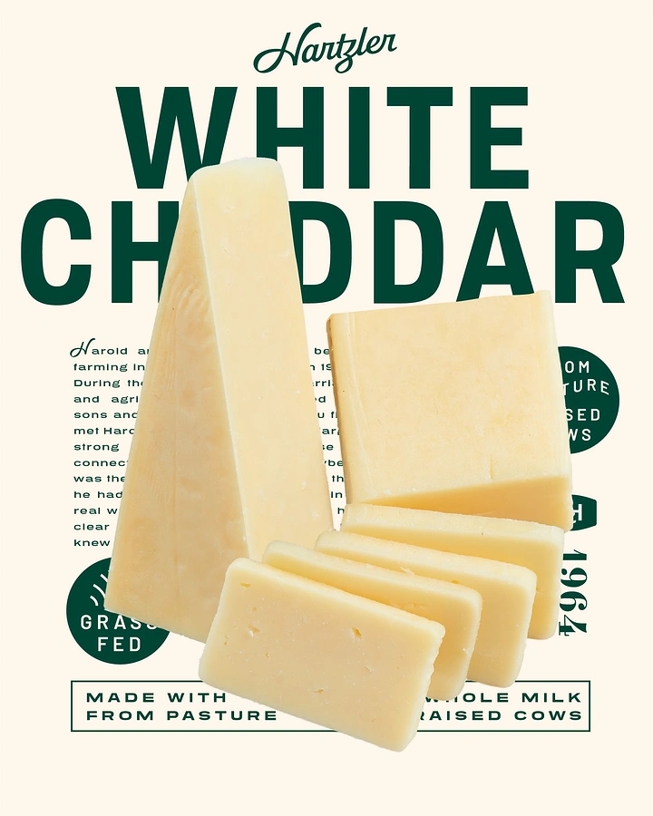 Dairy Brands creative ad: Cheese block replaces letter E