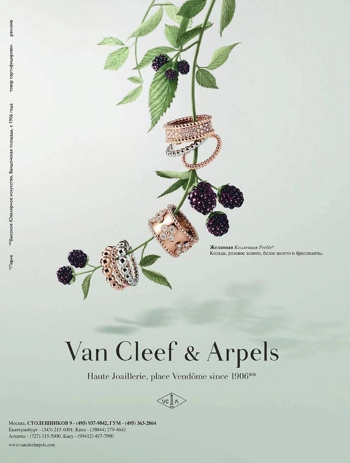 Watches & Accessories creative ad: Rose and white gold beaded rings threaded on a hanging blackberry vine