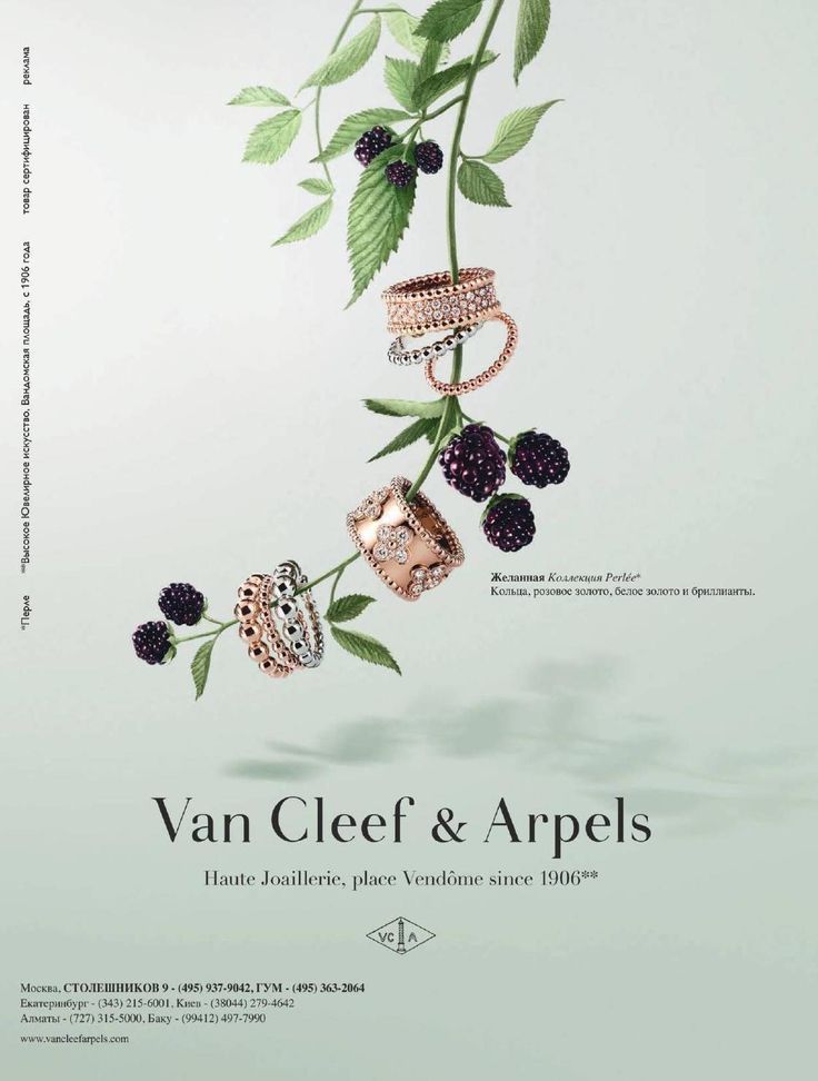 Rose and white gold beaded rings threaded on a hanging blackberry vine