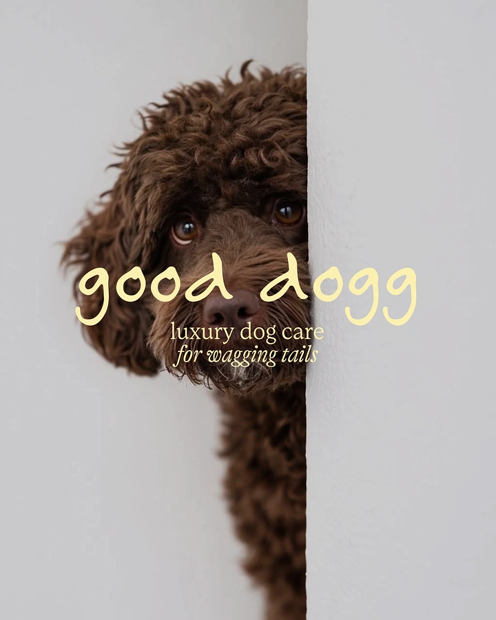 Pet Grooming creative ad: Poodle peeking around wall, minimal luxury