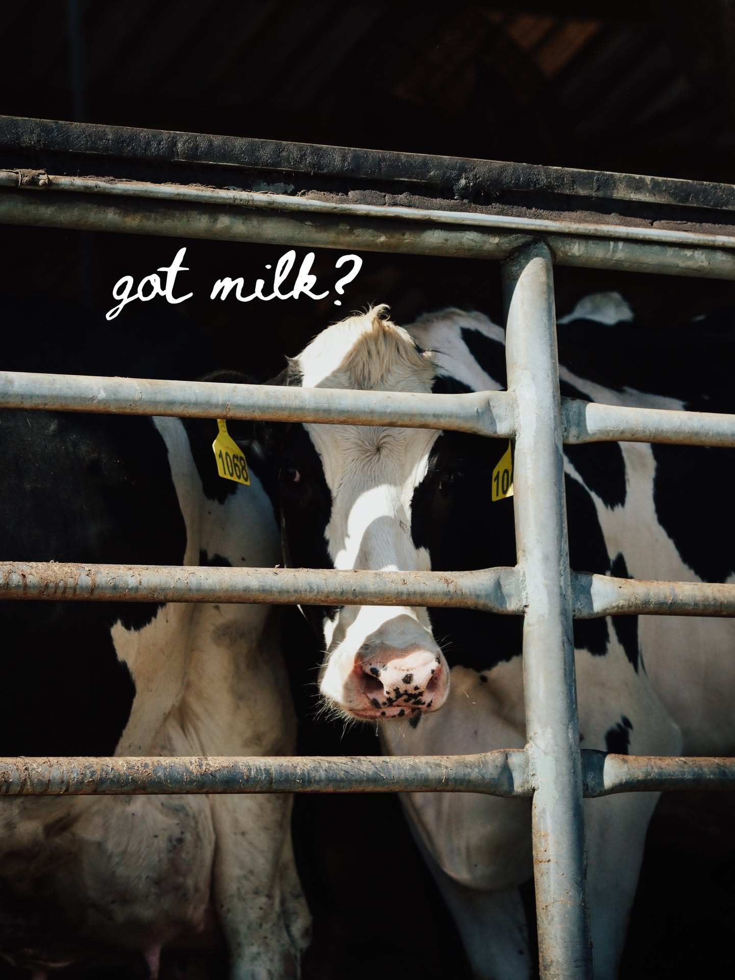 Instagram post: Guest check receipt as milk poster, slide 6