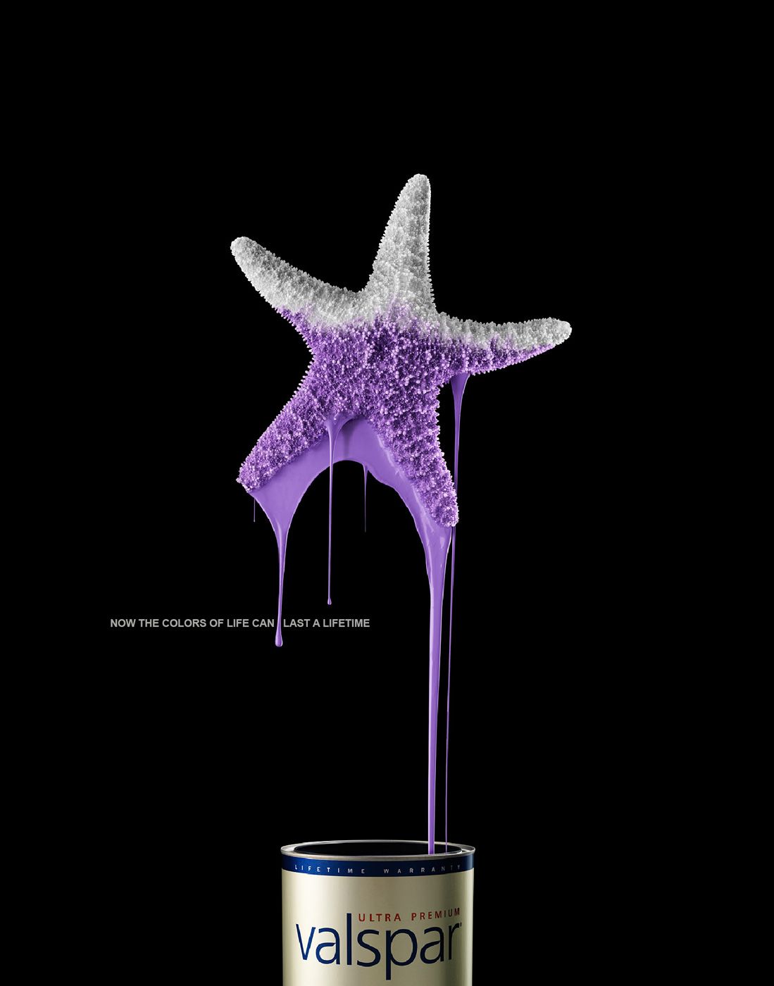 Poster: Starfish dipped in purple paint dripping into can