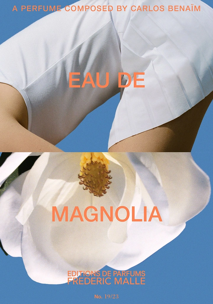 Creative ad: White pleated garment above an open magnolia blossom against blue sky