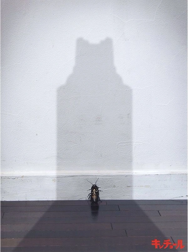 Pest Control creative ad: Cockroach casting a looming shadow, minimal