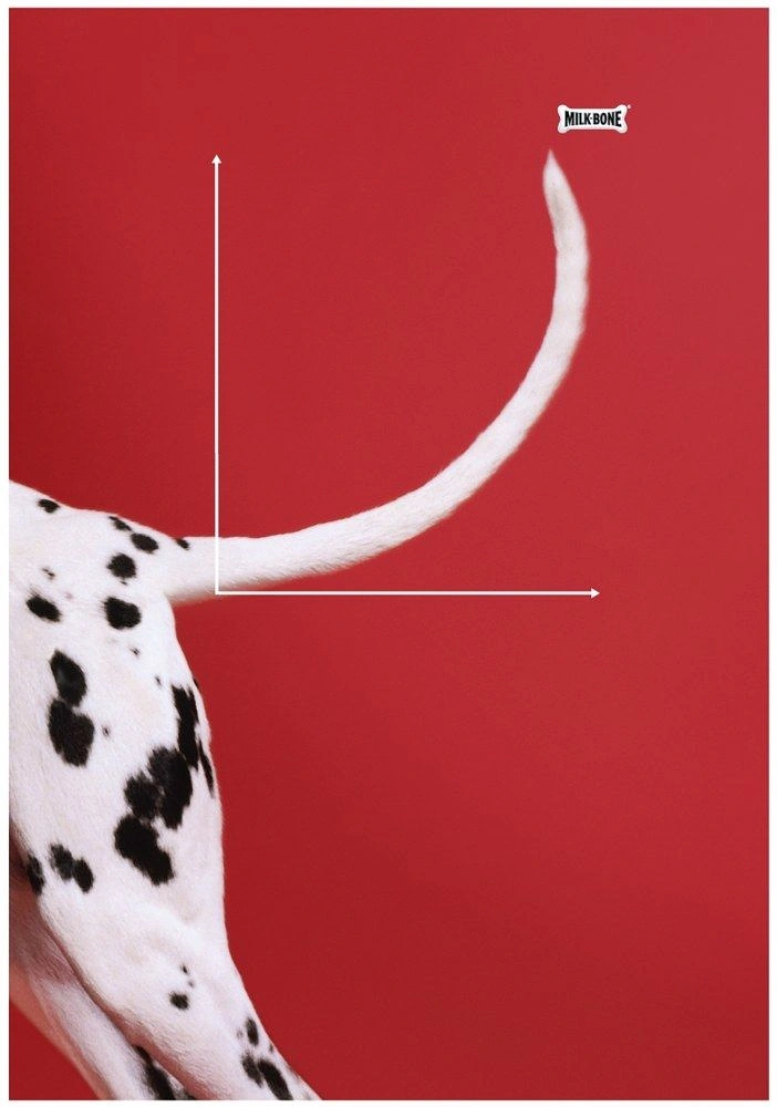 Pets creative ad: Dalmatian tail rising like a growth chart