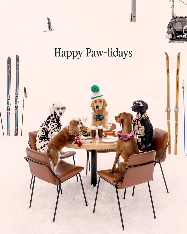 Christmas creative ad: Dogs in ski gear dining at an outdoor table on snowy slope