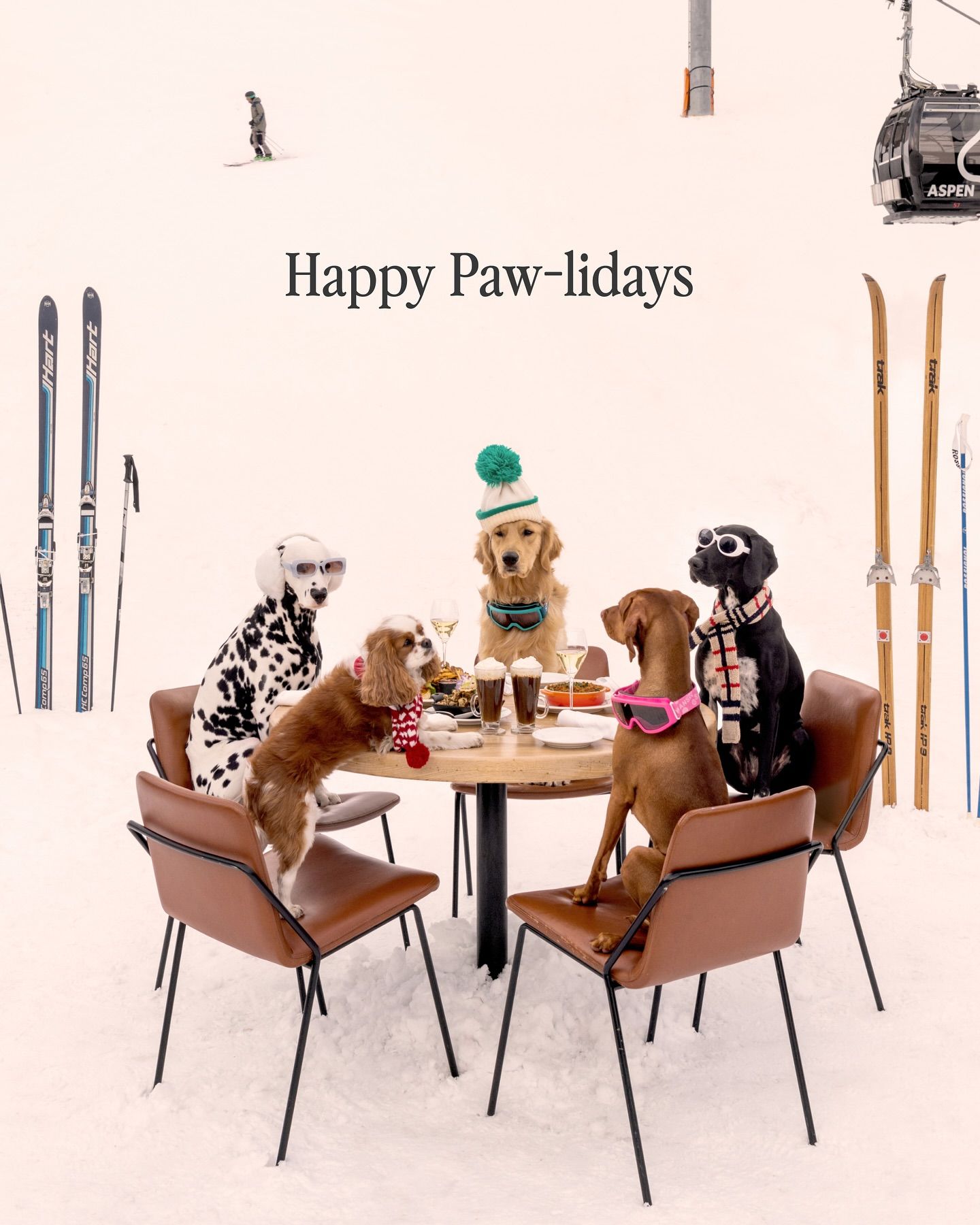 Dogs in ski gear dining at an outdoor table on snowy slope