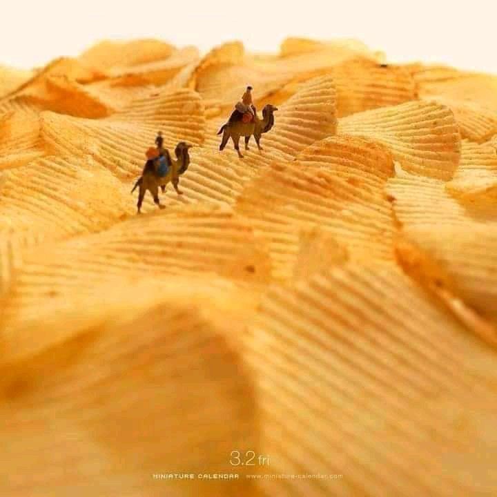 Instagram post: Chips as desert dunes with camels