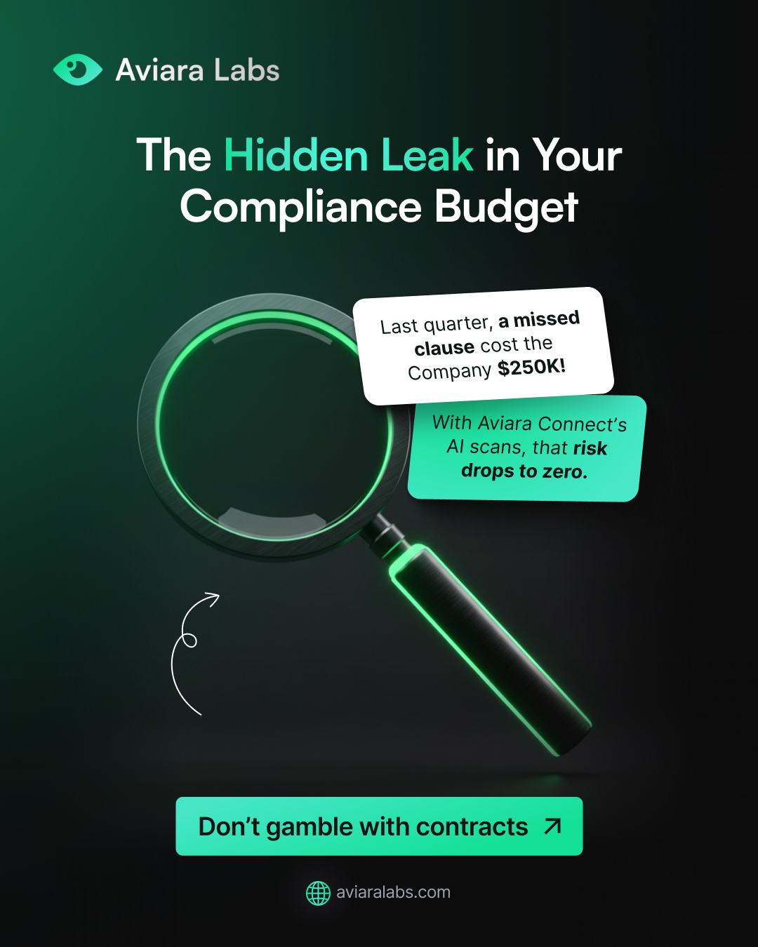 Instagram post: Magnifying glass reveals compliance budget leak