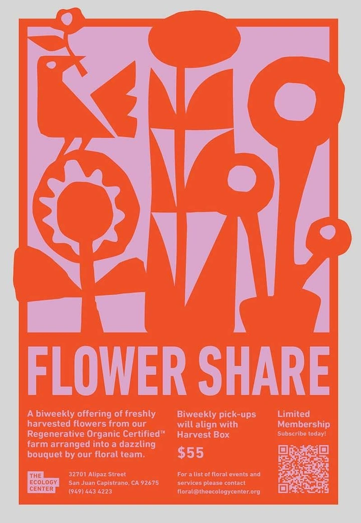 Nonprofit & Social Cause creative ad: Bold cut-paper flower and bird silhouettes