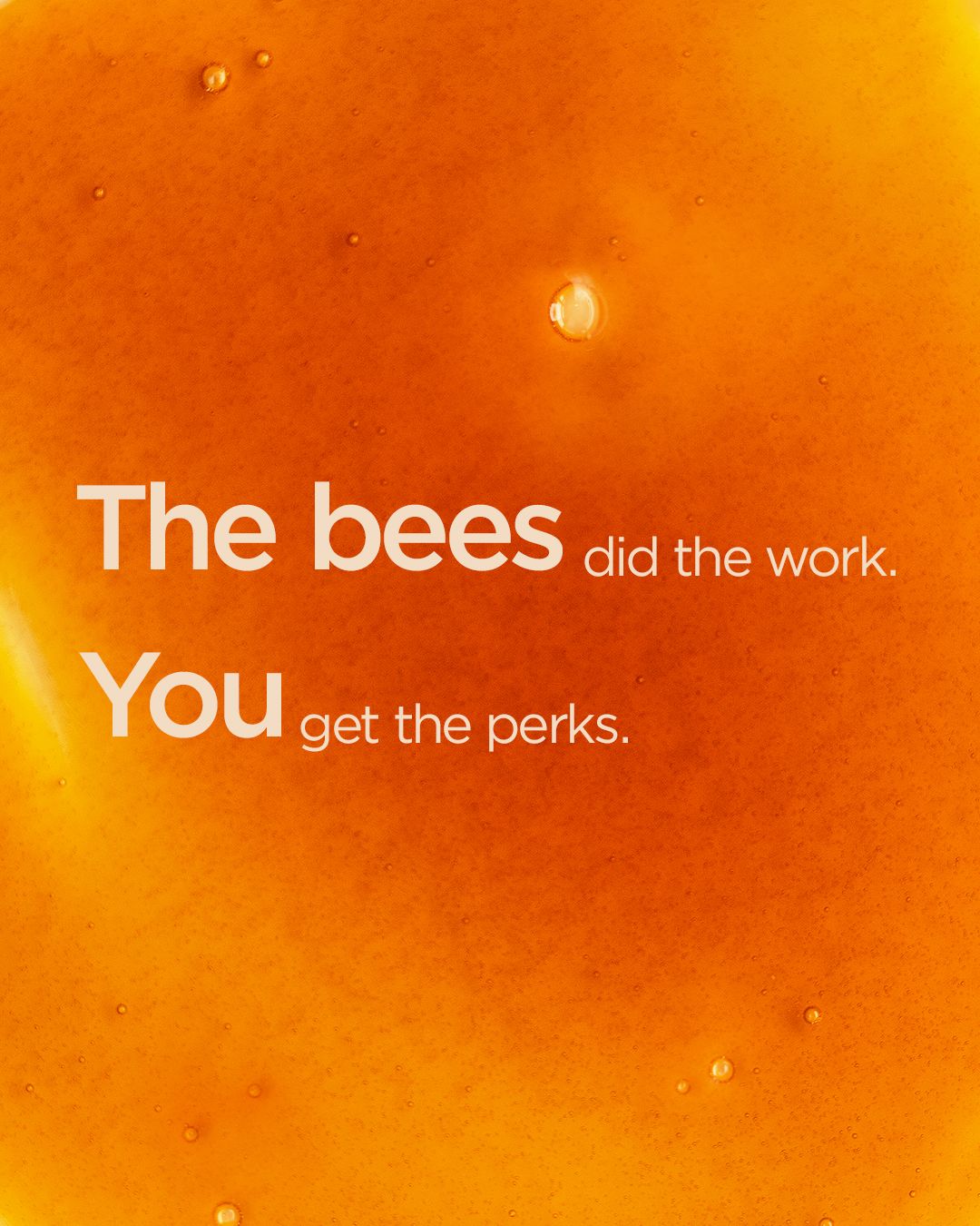 Instagram post: Witty bees-did-the-work copy