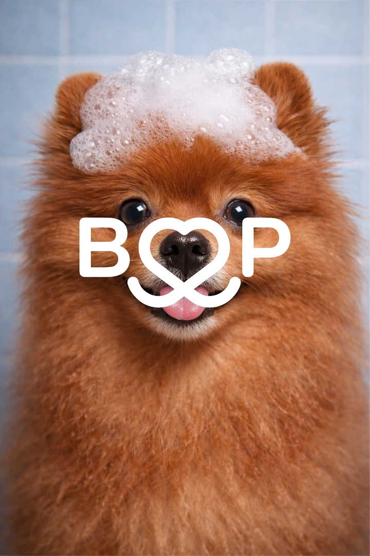 Pet Grooming creative ad: Foam-headed Pomeranian, logo forms nose 'BOOP'