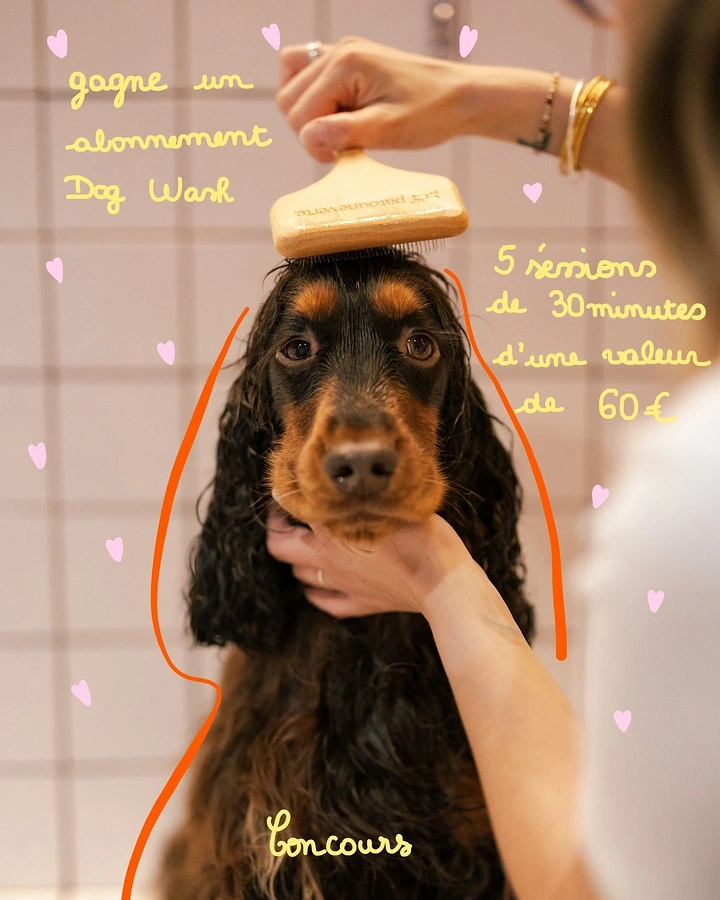 Pet Grooming creative ad: Hand-drawn doodle overlay on grooming photo