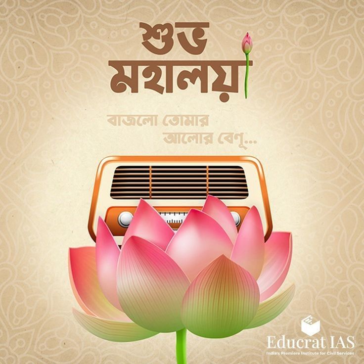 Pink lotus blooming in front of a retro orange radio
