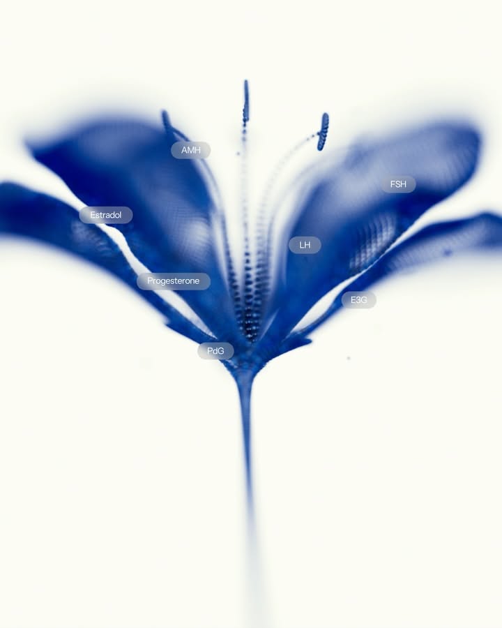 Instagram post: Flower as living fertility system branding, slide 9