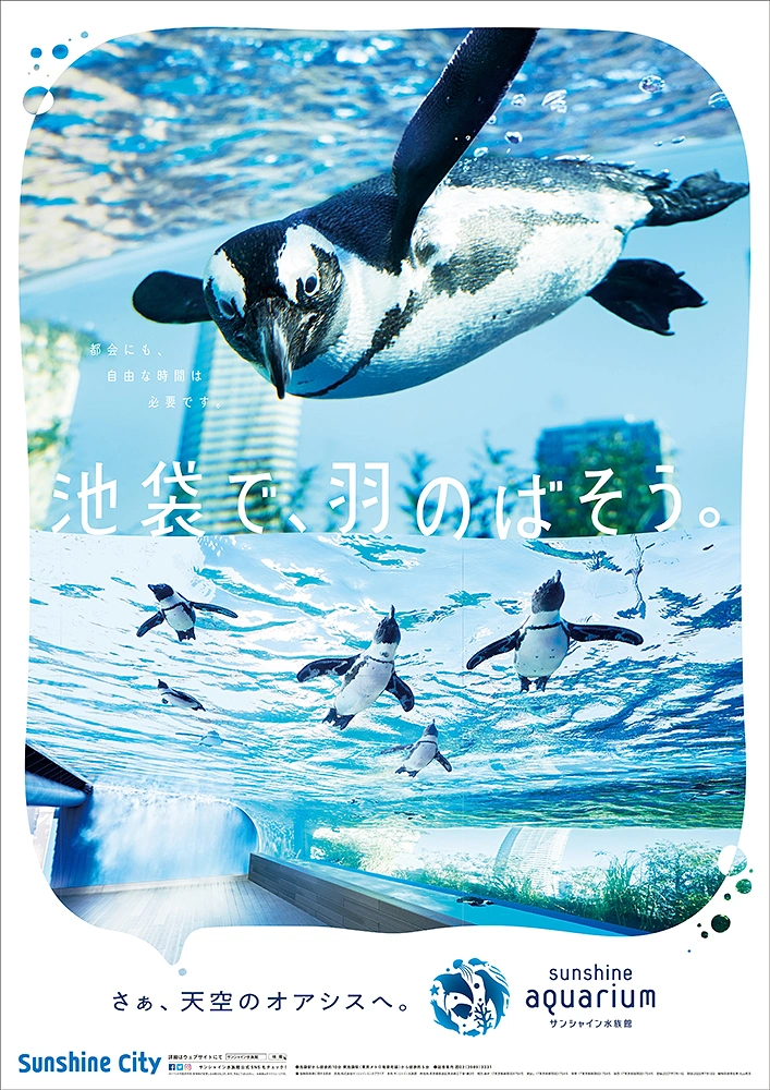 Aquarium Shops creative ad: Penguins flying through a sky-high rooftop tank