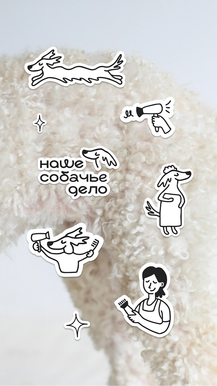 Pet Grooming creative ad: Doodle stickers over curly fur texture