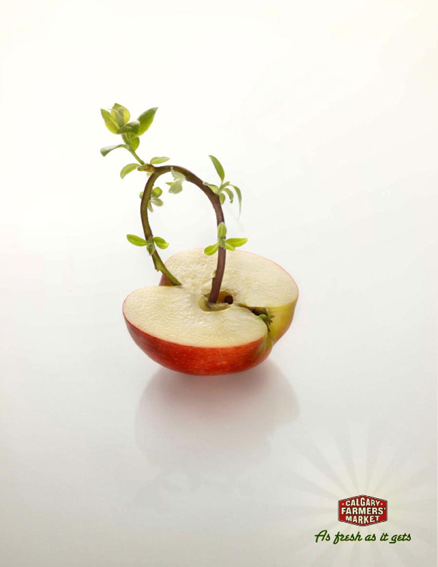 Poster: Halved red apple with a seedling sprouting from its core