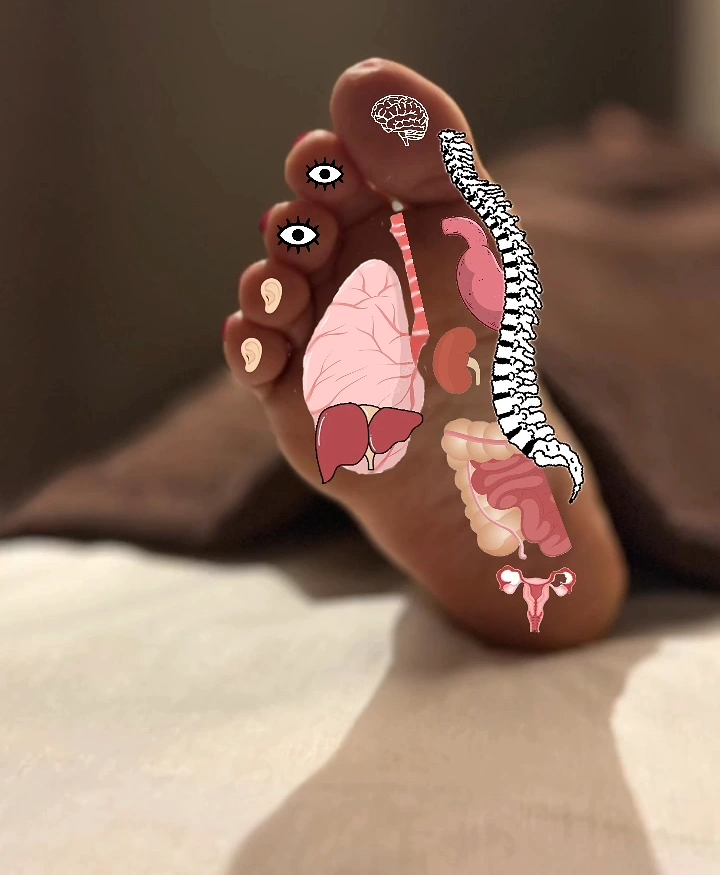 Acupuncture & Cupping Clinics creative ad: Organs illustrated on foot reflexology map
