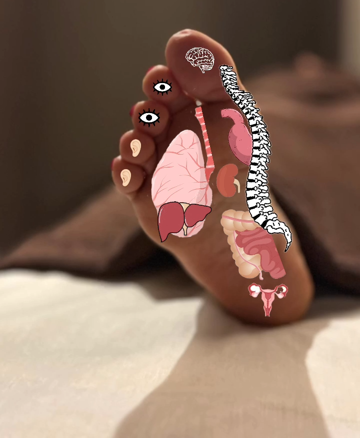 Instagram post: Organs illustrated on foot reflexology map