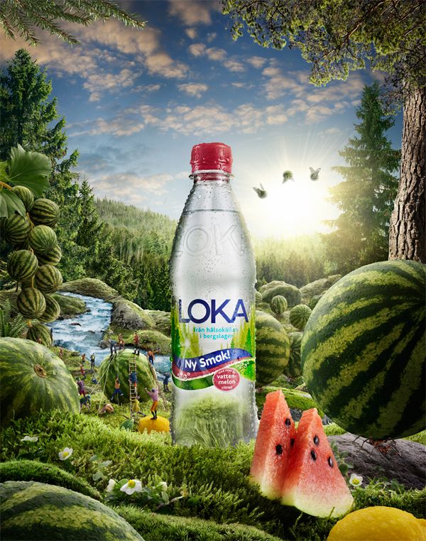 Instagram post: Bottle anchors lush fantasy ecosystem