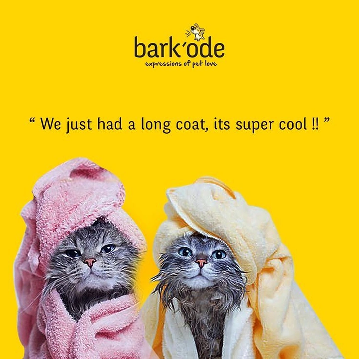 Pet Grooming creative ad: Towel-wrapped wet cats, 'long coat' pun