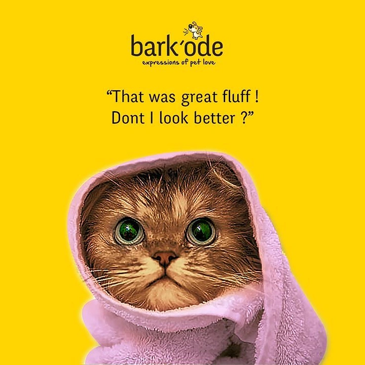 Pet Grooming creative ad: Towel-wrapped cat with witty 'great fluff' pun