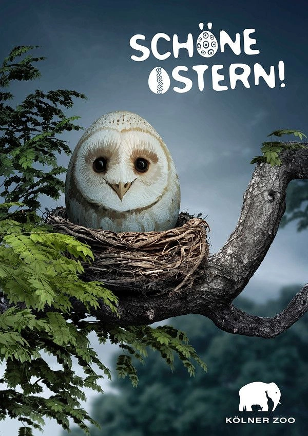 Easter creative ad: An egg shaped and painted like a barn owl sitting in a nest