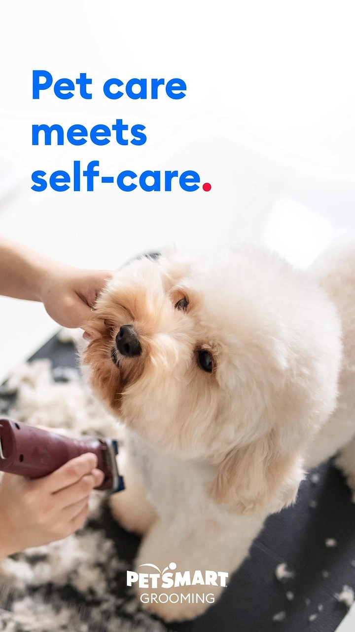 Pet Grooming creative ad: 'Pet care meets self-care' wordplay, clean branding