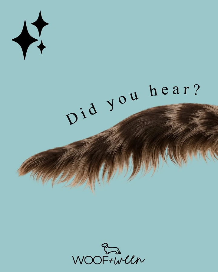 Pet Grooming creative ad: Fur tail with gossip line, minimal teaser