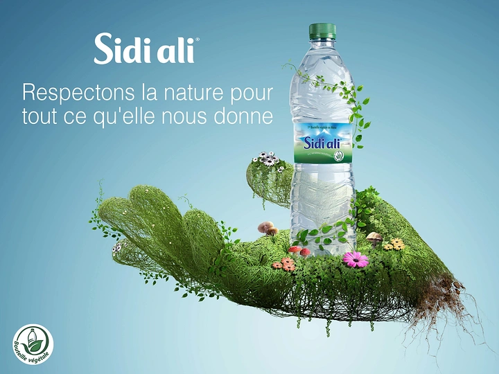 Packaged Drinking Water creative ad: Bottle rests on nature-made island