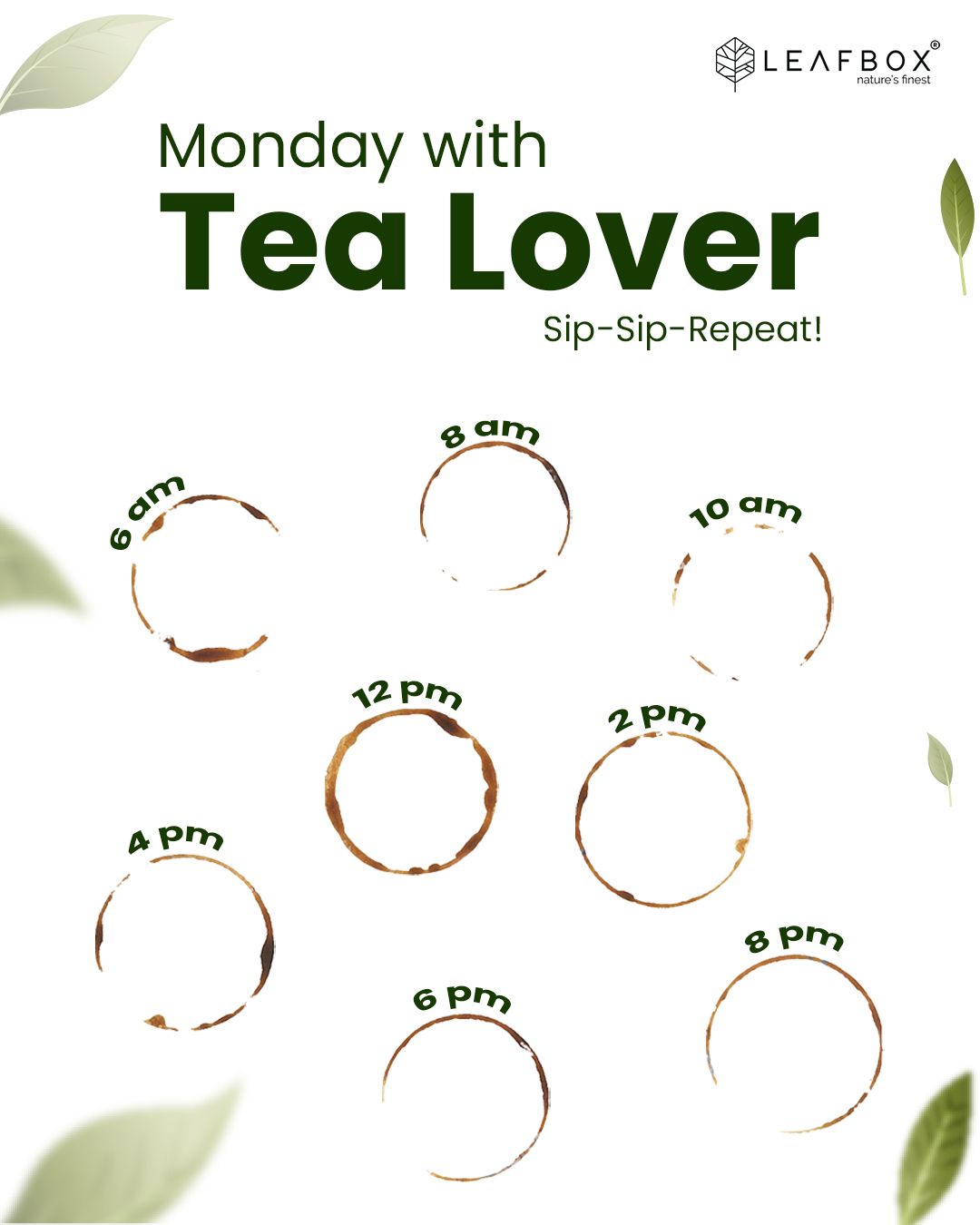 Instagram post: Cup stain rings as daily clock