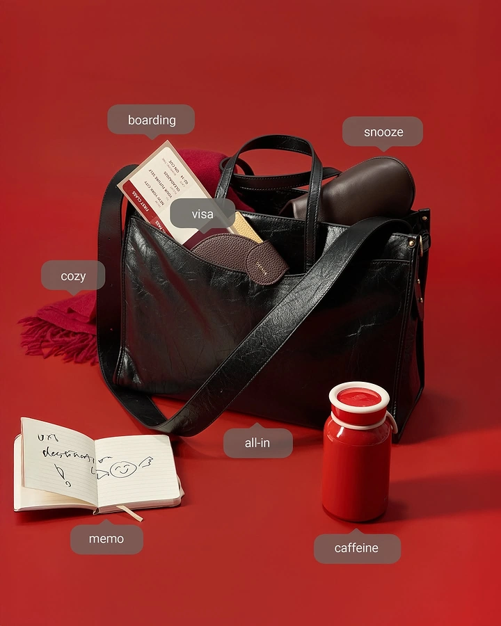 Luggage & Travel Bags creative ad: Bag becomes labeled travel command center