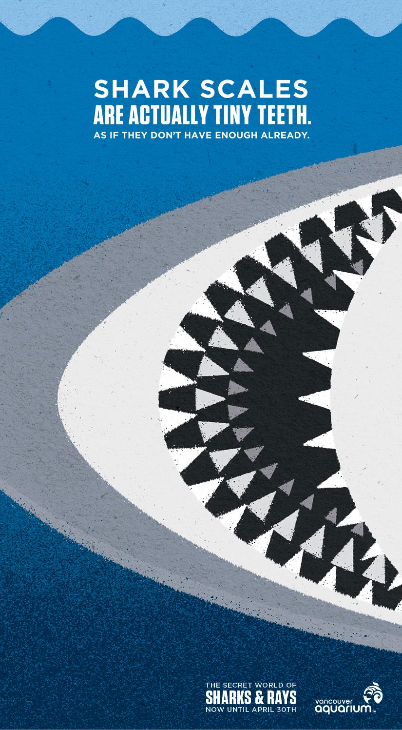 Poster: Close-up shark jaw made of triangles