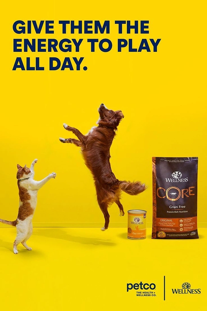 Creative ad: Dog and cat leaping playfully beside pet food packs