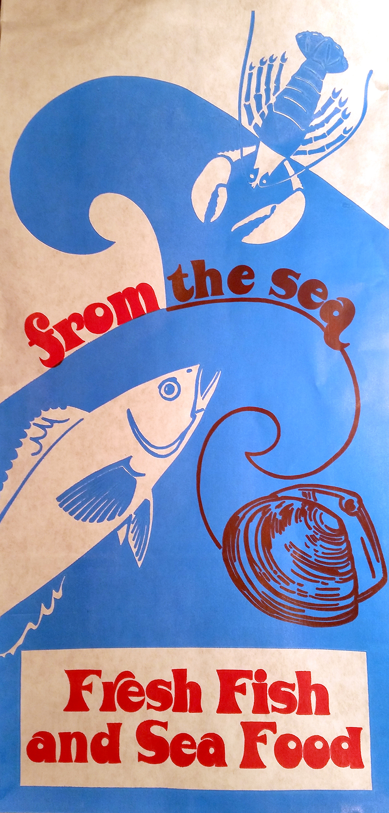 Story: Sea creatures form expressive typographic composition