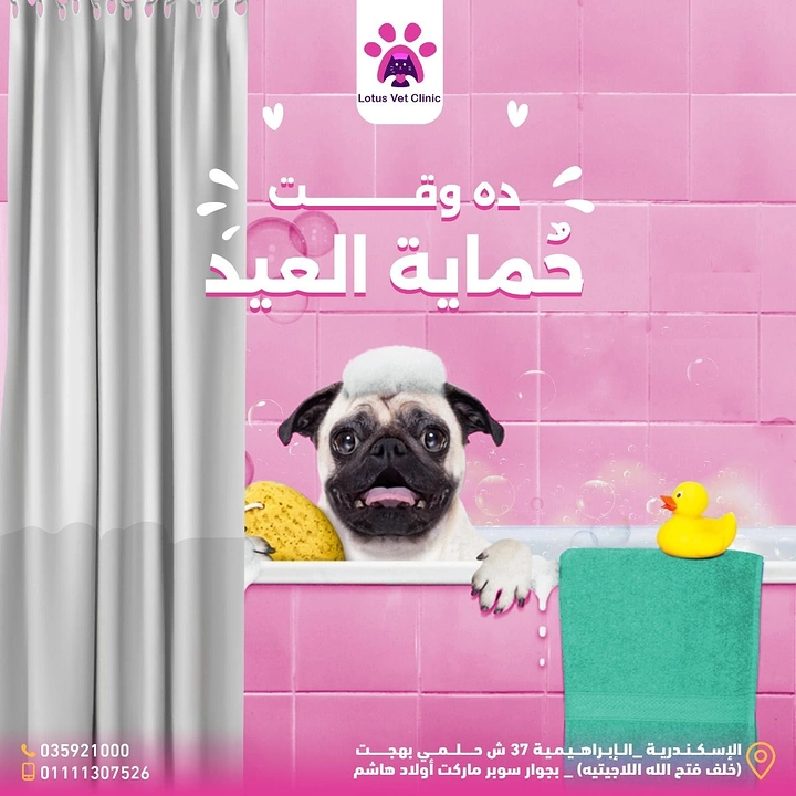 Eid creative ad: Pug with foam on head peeking from a bathtub