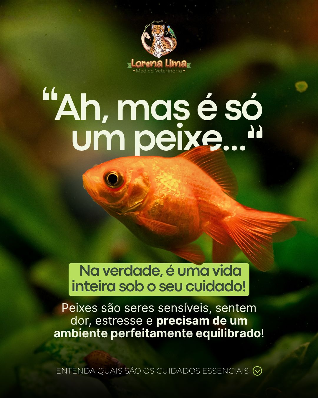 Instagram post: 'Just a fish?' goldfish care copy hook