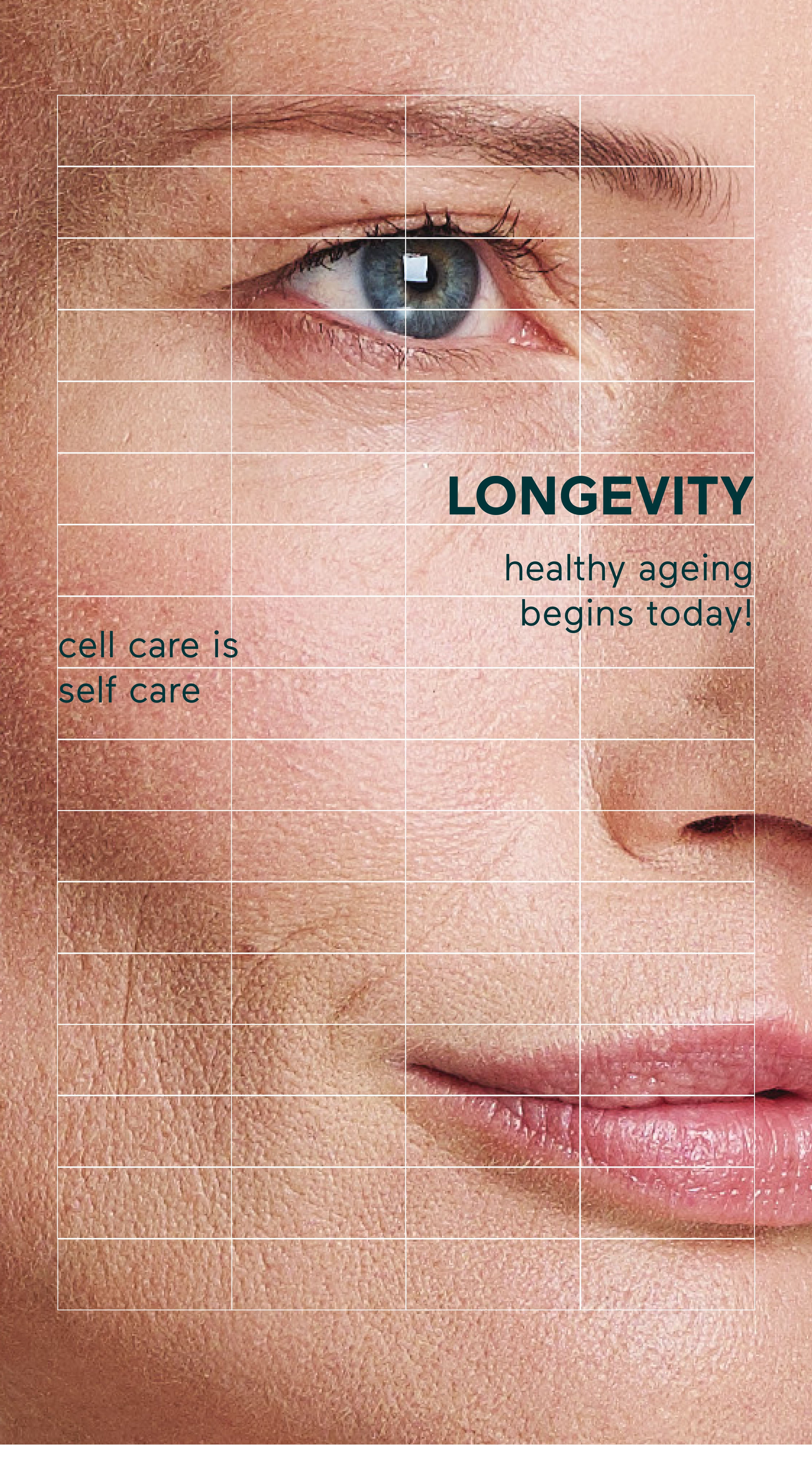 Story: Grid overlay mapping face skin cells