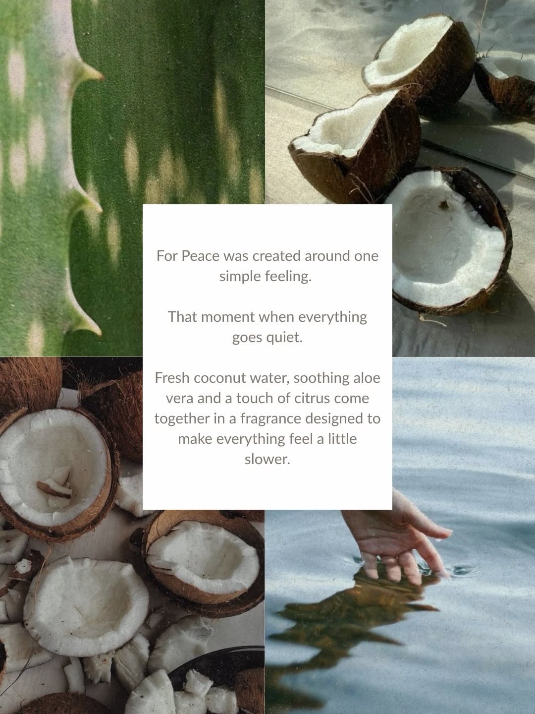 Instagram post: Shadow hand holding candle, story teaser, slide 2