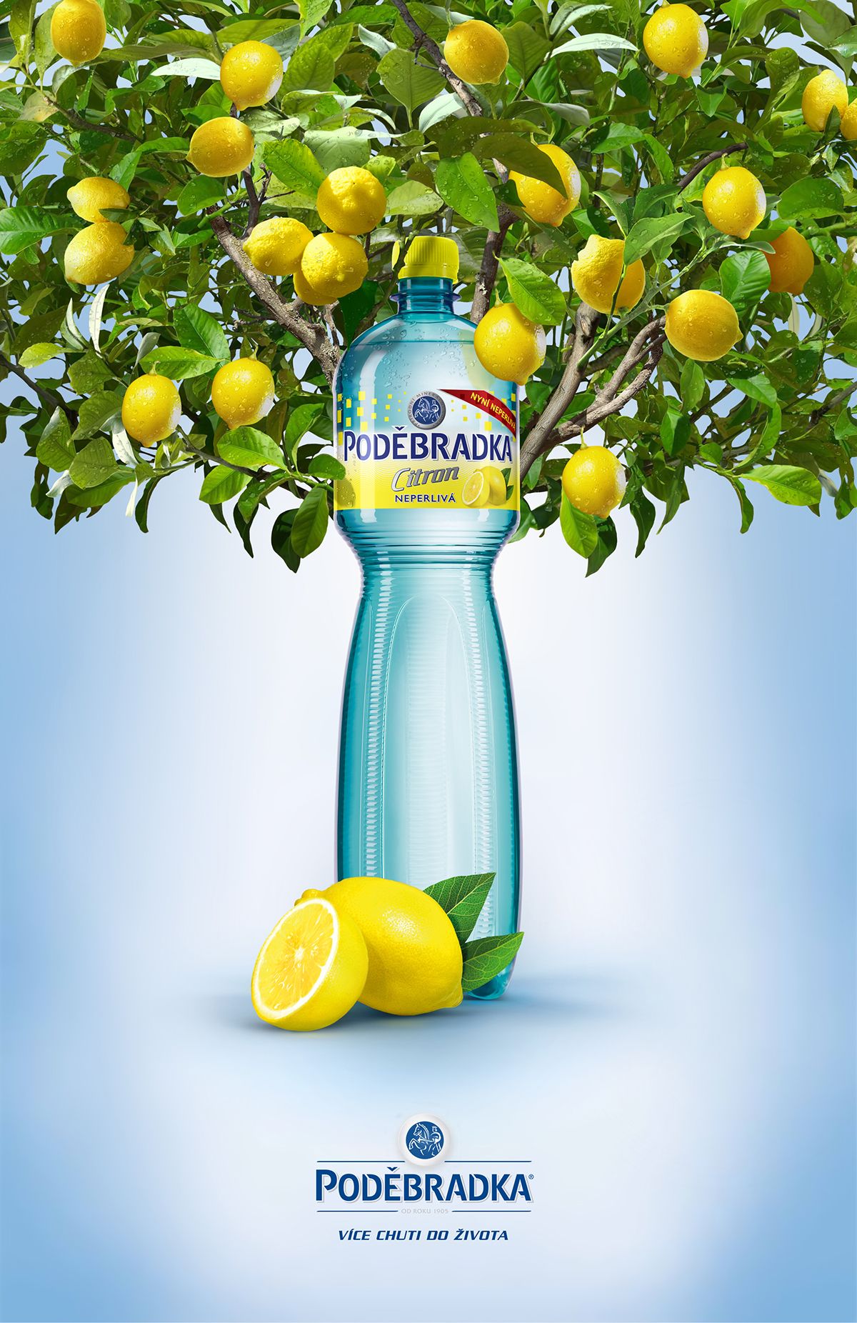 Story: Bottle framed as lemon-tree centerpiece